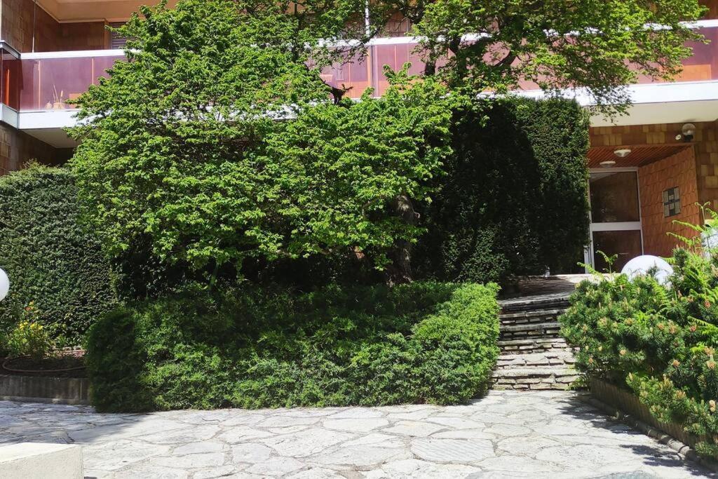 Les Dunes De Nauzan Appartement